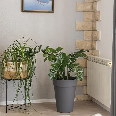Apartman Bonaca Apartment *